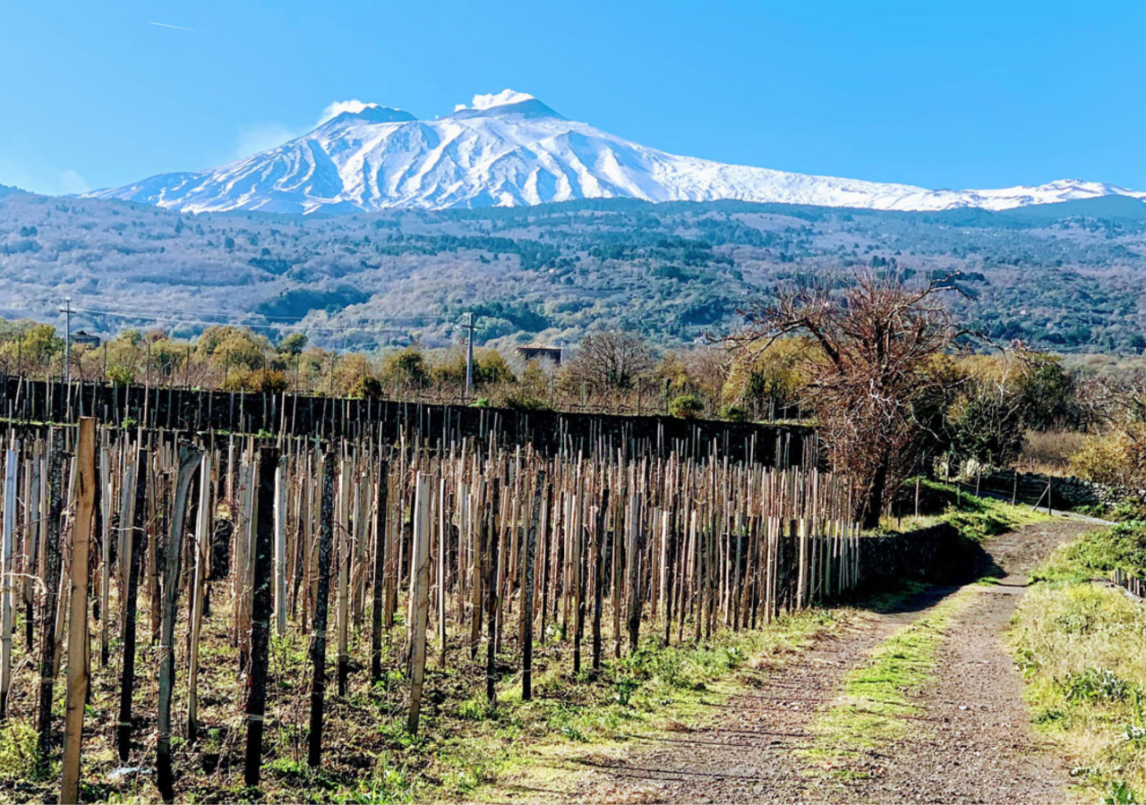 Etna Food & Wine Experience