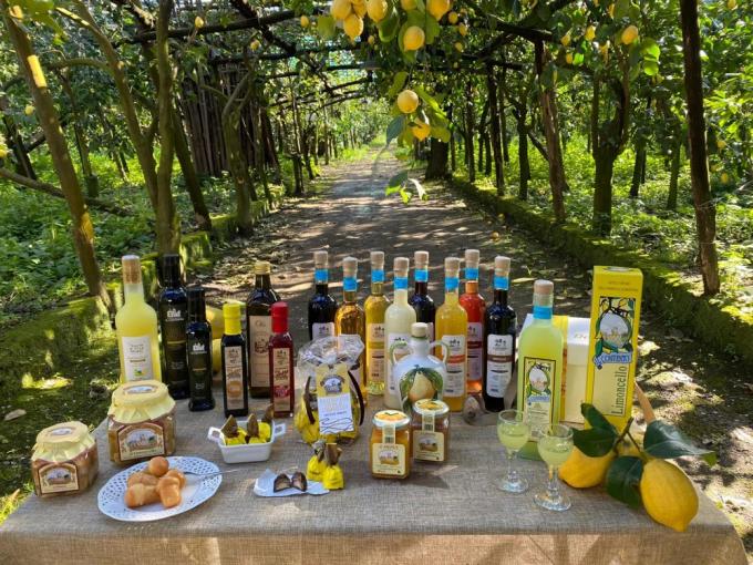 All Inclusive Positano, Sorrento, Lemon tour