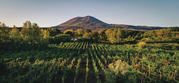 Pompeii, Vesuvius & Winery All Inclusive